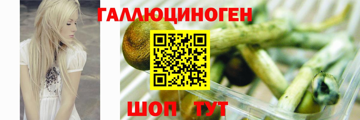Казань  Псилоцибиновые грибы MAGIC MUSHROOMS  где купить наркоту  Вход с VPN 